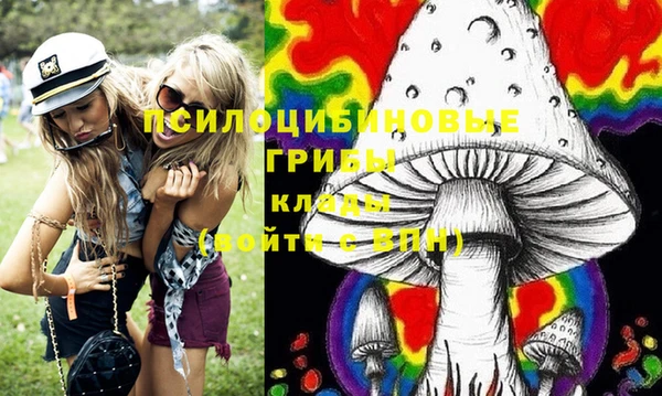 дмт Армянск