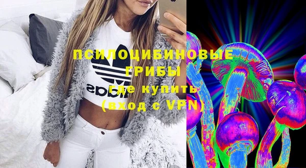 гидра Алексеевка