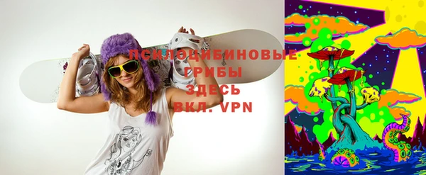 герыч Алексин