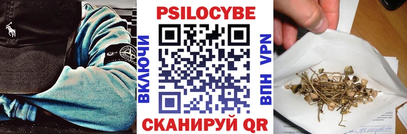 Псилоцибиновые грибы Magic Shrooms  где продают   Нововоронеж 